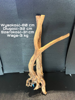 Korzeń Stump Wood 32cm x31cm 80cm H
