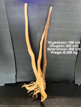 Korzeń Stump Wood 35cm x38cm 110cm H