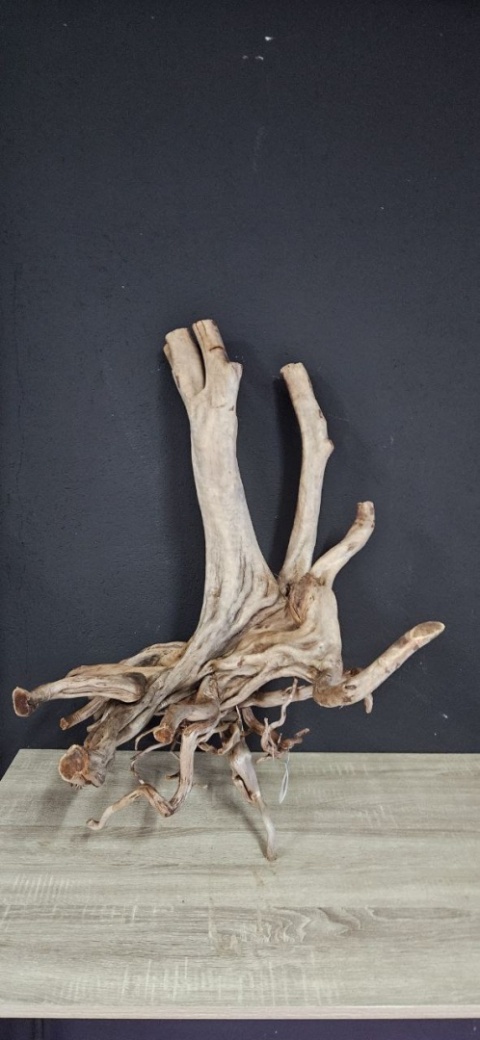 Korzeń Stump Wood 5 57x57x83cm H 5,75 KG
