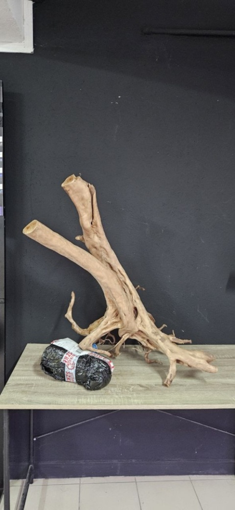 Korzeń Stump Wood 2 50x80x84 H 6,15 KG