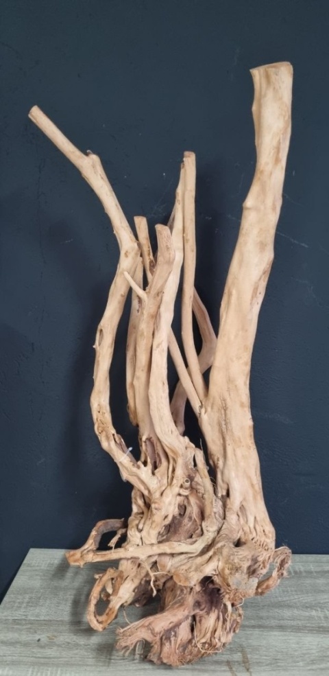 Korzeń do akwarium Growise Wood 50x52x101 8,60kg Nr 19