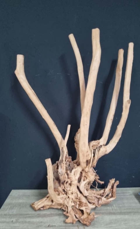 Korzeń do akwarium Growise Wood 60x41x98 7,45kg Nr 17